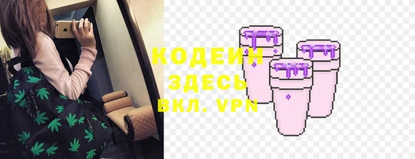 ПСИЛОЦИБИНОВЫЕ ГРИБЫ Горняк