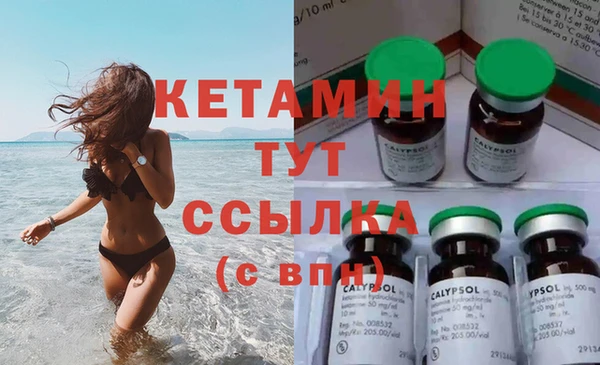 ПСИЛОЦИБИНОВЫЕ ГРИБЫ Горняк