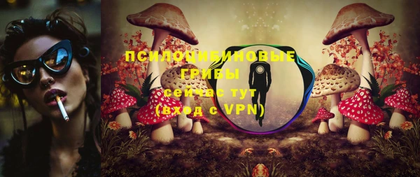 МДПВ Горно-Алтайск