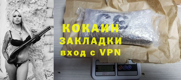 дмт Шали