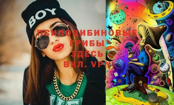 шишки Щучье