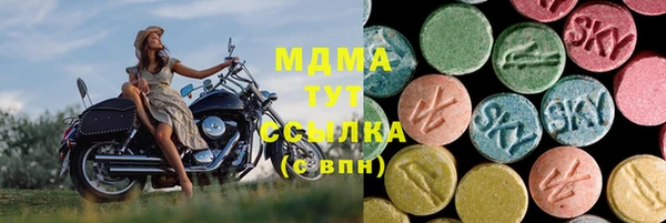 шишки Щучье