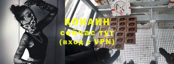 шишки Щучье